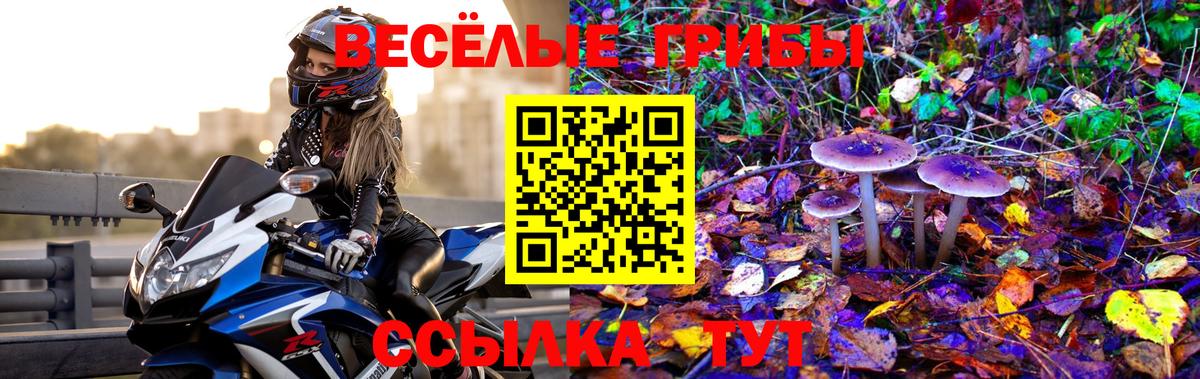 Псилоцибиновые грибы Magic Shrooms Йошкар-Ола