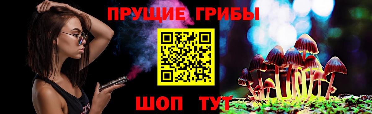 Йошкар-Ола  Псилоцибиновые грибы Magic Shrooms  Вход с VPN 